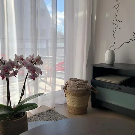 Cosy 1 Bedroom In The Heart Of Old Town With Parking Kaunas