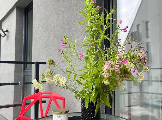 Cosy 1 Bedroom In The Heart Of Old Town With Parking Appartement