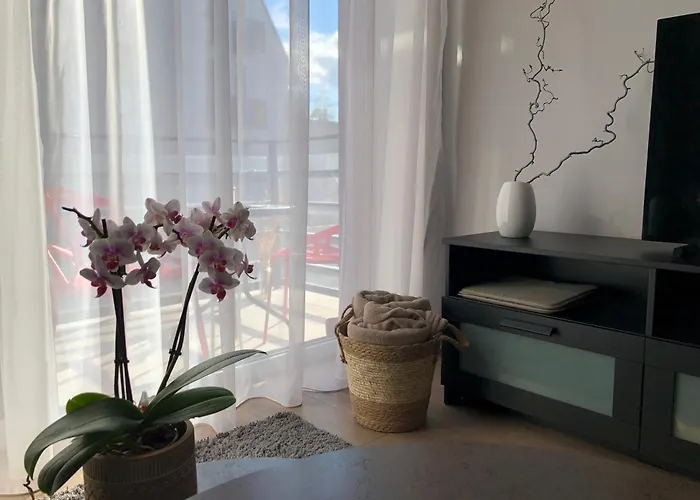 Cosy 1 Bedroom In The Heart Of Old Town With Parking Kaunas